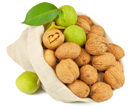 Macro view of whole walnut in flax sack and green walnut fruit isolated on white backgroundの写真素材