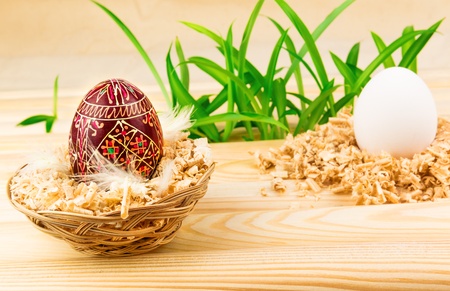 Easter eggs in nest with grassの写真素材