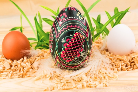 Easter eggs in nests with grassの写真素材