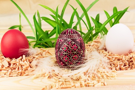 Three Easter eggs in nests with grassの写真素材