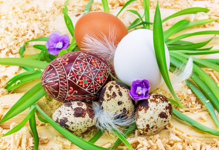 Easter eggs in the grass with flowers