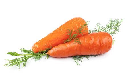 Carrots with green dill isolated on white backgroundの写真素材