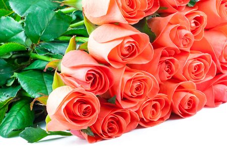 Bouquet of pink roses isolated on white backgroundの写真素材
