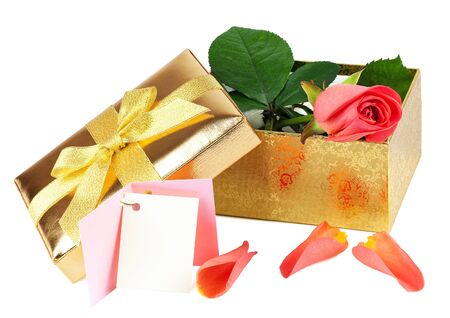 Pink rose in the open golden box with card and petals isolated on white backgroundの写真素材