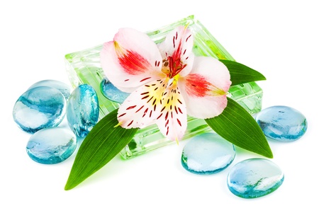 Clarity spa concept with flower and green leaves isolated on white backgroundの写真素材