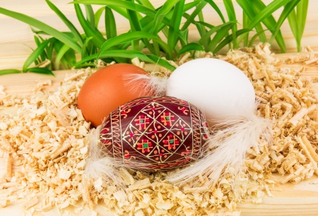 Three eggs in nest with feathersの写真素材
