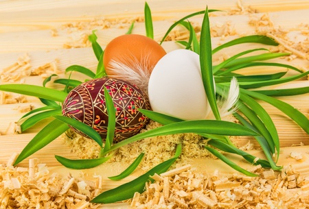Three eggs in nest from grass with feathersの写真素材