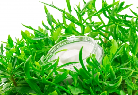 Container of cream in green leavesの写真素材