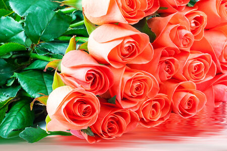 Bouquet of pink roses isolated on whiteの写真素材