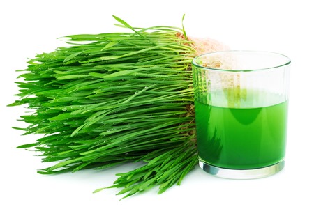 Wheatgrass juice with sprouted wheat isolated on whiteの写真素材