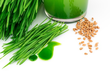 Wheatgrass juice with sprouted wheat and wheat isolated on whiteの写真素材