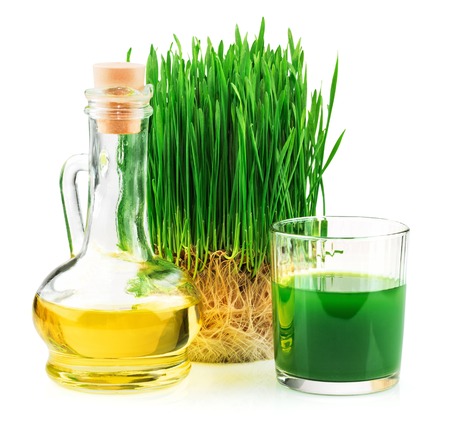 Wheatgrass juice with sprouted wheat and wheat germ oil isolated on white backgroundの写真素材