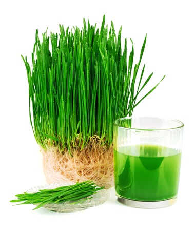 Wheatgrass juice with sprouted wheat on the plate isolated on white backgroundの写真素材