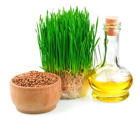 Wheat green sprouts, wheat seeds in the wooden bowl and wheat germ oil isolated on white backgroundの写真素材