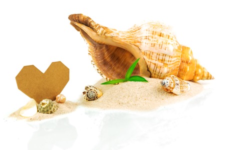 Spa concept with seashells and bamboo with heart shape from cardboard isolated on white backgroundの写真素材