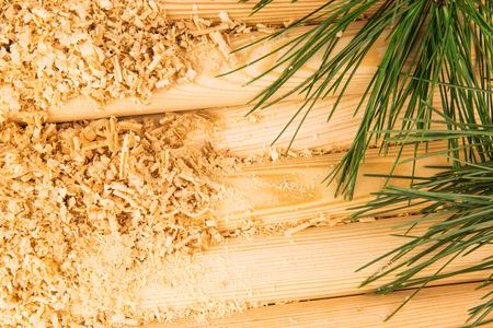 Macro view of wooden sawdust, logs and green pine branchesの写真素材