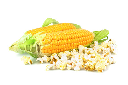 Macro view of maize and popcorn isolated on white backgroundの写真素材