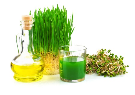 Wheatgrass juice with sprouted wheat and wheat germ oil isolated on white backgroundの写真素材