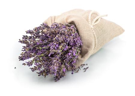 Lavender in a sack with tie isolated on white backgroundの写真素材