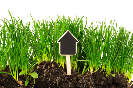 Gardening concept: grass, soil, board for text isolated on white backgroundの写真素材