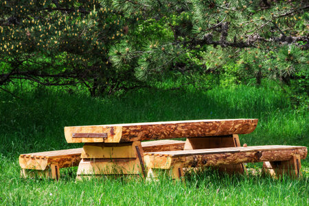 Wooden table with benches in a pine forest, outdoors