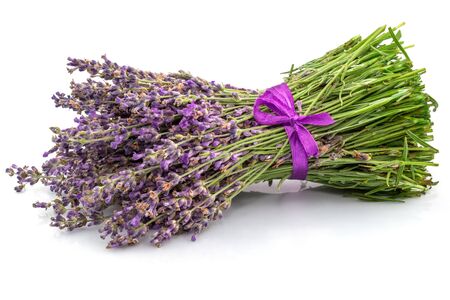Bouquet of lavender with ribbon in close-up isolated on white backgroundの写真素材