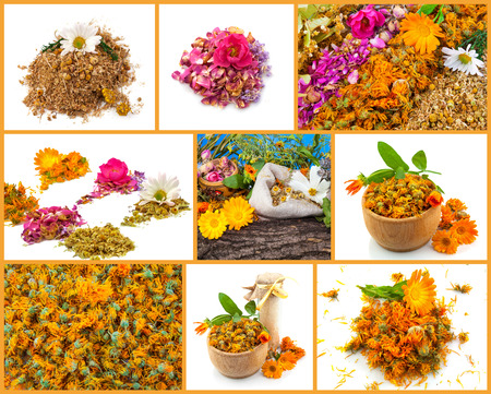 Healthy life collage. Rose, chamomile, marigold, linden, lavenderの写真素材