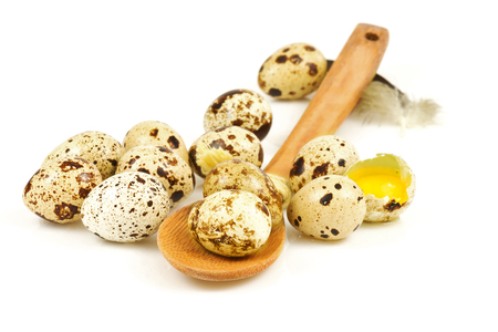 Quail eggs in a wooden spoon isolated on white backgroundの写真素材