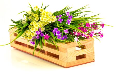 Flowers in wooden basket isolated on white backgroundの写真素材