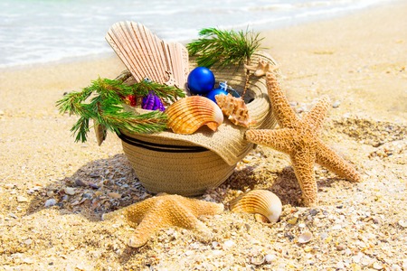 Christmas decoration with Christmas twig, shells, fan in the straw on the beachの写真素材