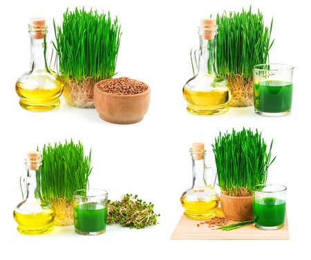 Wheatgrass juice with sprouted wheat and wheat germ oil isolated on white background, setの写真素材