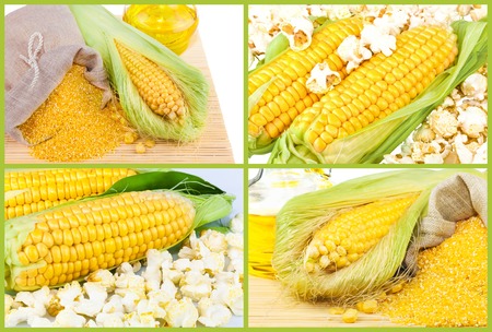 Composition from corn, oil and maize flour in flax sack on the mat isolated on white background, collageの写真素材