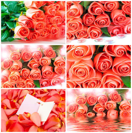 Bouquet of pink roses, card, water, drop, setの写真素材