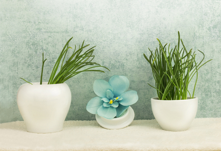 Spa concept with blue flower orchid, grass in bowls, towel on blue backgroundの写真素材