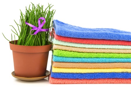 Spa concept with colorful towels and fresh grass in the pot on white backgroundの写真素材