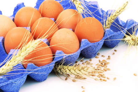 Fresh organic chicken eggs and wheat ear, spike in cardboard container, pack with copy space.の写真素材