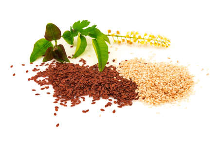 Heap of seasoning sesame and flax seeds with flower and green leaves isolated on white backgroundの写真素材