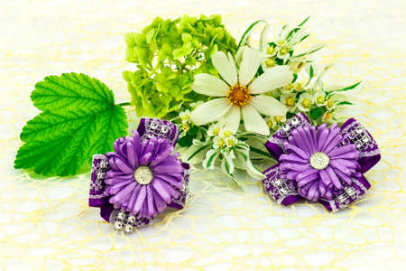 Barrette with elastic and violet ribbon, natural flowers chamomile and green leaf isolated on white background.の写真素材
