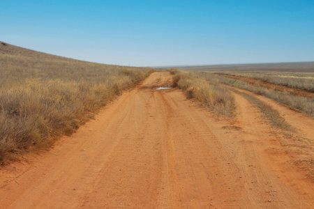 A long empty steppe road stretching into the sky. Red earth and dried flowers. Horizontal landscape....