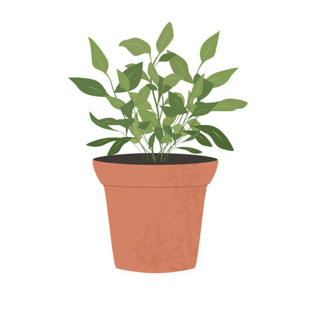 A pot with a houseplant. Isolated flat vector illustration, cartoon style. The concept of a home interior. A young plant from the ground., a sprout. Seedlings, landscaping.のイラスト素材