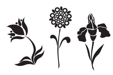 graphic design of flowers, vector illustrationのイラスト素材