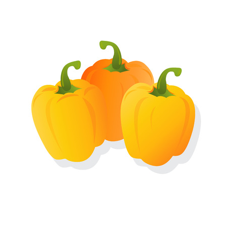 fresh yellow peppers, vector illustration, isolated on white backgroundのイラスト素材