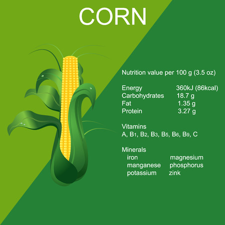 Ripe, corn, cob, vector illustration in flat design for web sitesのイラスト素材