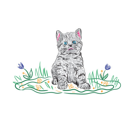 kitten cat in sketch style, vector illustrationのイラスト素材
