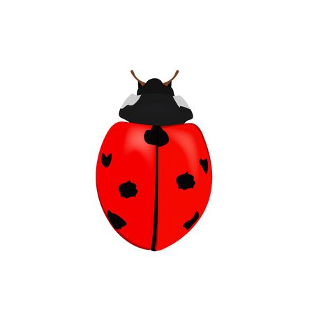 lady bugのイラスト素材