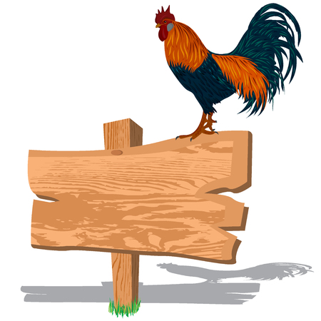 rooster on wooden sign, vector illustrationのイラスト素材