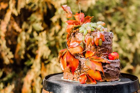 beautiful designer chocolate cake decorated with grapes and orange leaves standing on a wooden wine barrel.の写真素材