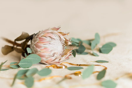 Bunch of Protea Aristata Beautiful close up arrangement of a floral bouquet featuring protea flowers...