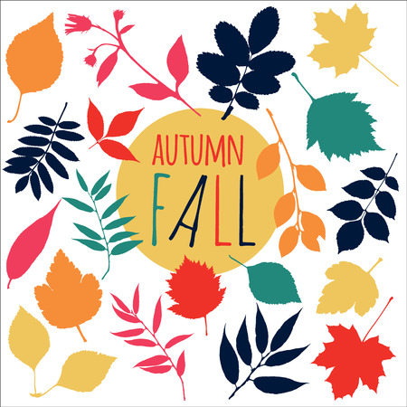 Autumn fall leaf. Set design nature element.のイラスト素材
