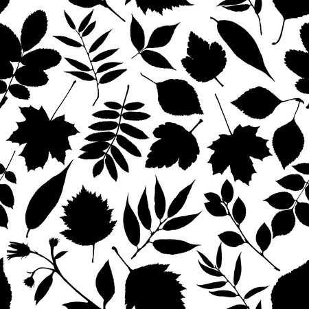 Autumn seamless pattern.のイラスト素材